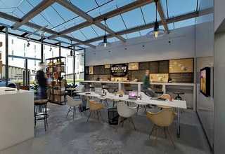 经济开发区会议绿植租赁服务