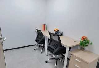 宝山区大型绿植花卉租赁养护