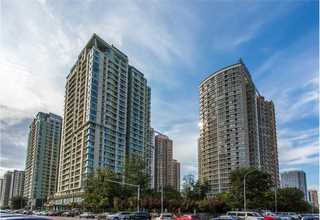 广东冷季型草坪报价单