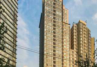 深圳缓冲用硅胶垫价格