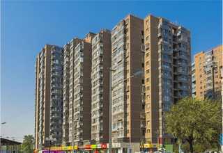 韶关艺术大师叶惠青老师传承国画文化