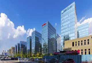 安阳哪里有羊养殖厂